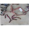 Image 3 : Lot of several horse halters