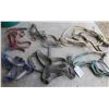 Image 1 : Lot of several horse halters