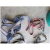 Image 2 : Lot of several horse halters