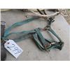 Image 4 : Lot of several horse halters