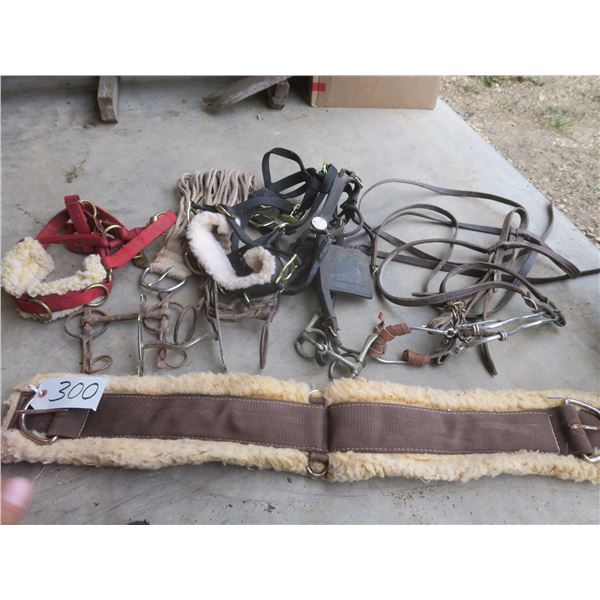 Lot of assorted Horse tack