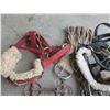 Image 3 : Lot of assorted Horse tack