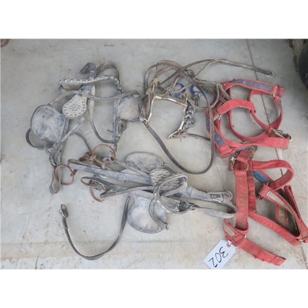 Lot of several horse halters