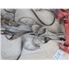 Image 3 : Lot of several horse halters