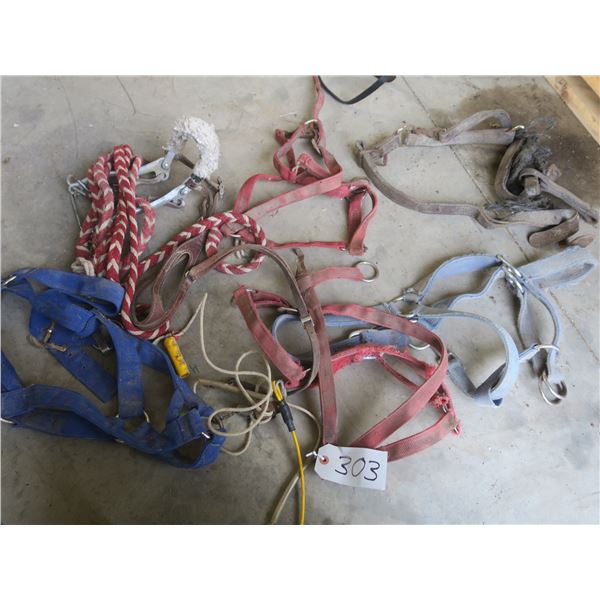 Lot of several horse halters