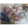 Image 1 : Lot of several horse halters