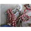 Image 3 : Lot of several horse halters