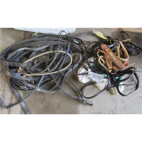 Lot of several horse leaders/tack etc.