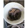 Image 3 : 5 gallon Bucket of horse shoes