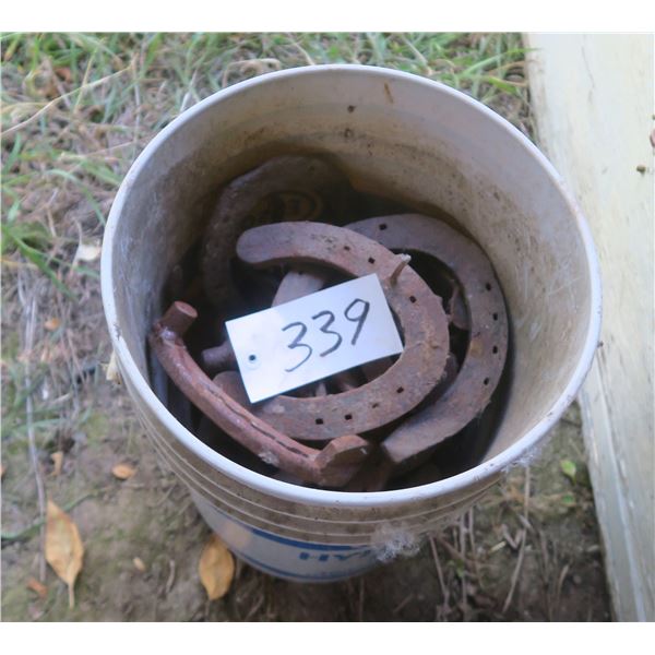 5 gallon Bucket of horse shoes