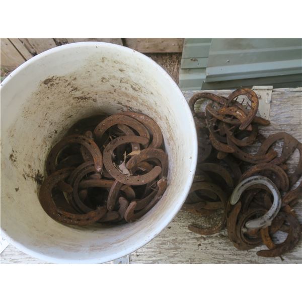 5 gallon Bucket of horse shoes
