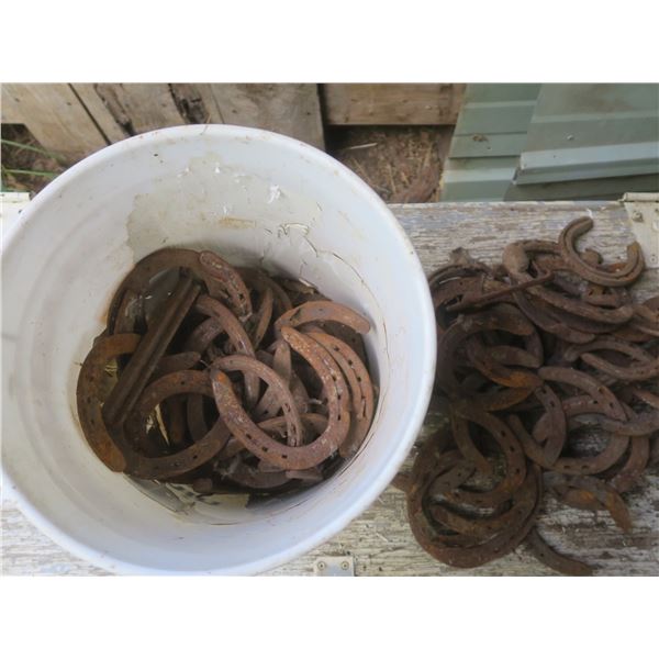 5 gallon Bucket of horse shoes