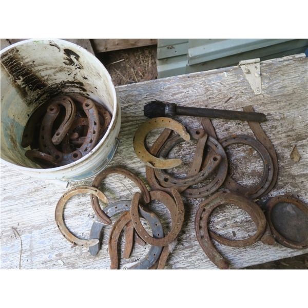 2 gallon Bucket of horse shoes