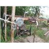 Image 5 : Horse shoeing stock - 3ft x 8.5ft x 7ft