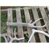 Image 3 : Lot of assorted small antler sheds