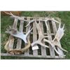 Image 1 : Lot of assorted large antler sheds (includes cow horn set)