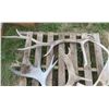 Image 7 : Lot of assorted large antler sheds (includes cow horn set)