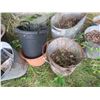Image 3 : Lot of assorted garden buckets - some galvanized