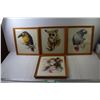 Image 1 : (4) Framed Drawings Toucans, Galago, Graupapgei, Magnolienbluten (14-3/4 x 13-1/2")