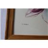 Image 5 : (4) Framed Drawings Toucans, Galago, Graupapgei, Magnolienbluten (14-3/4 x 13-1/2")
