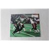 Image 2 : (4) Saskatchewan Roughriders Photos - 8" x 10" (NIB) -Kenton, Richards, Szark, Aldag