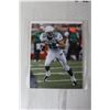 Image 4 : (4) Saskatchewan Roughriders Photos - 8" x 10" (NIB) -Aldag, Holm