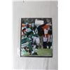 Image 4 : (4) Saskatchewan Roughriders Photos - 8" x 10" (NIB)