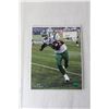 Image 2 : (4) Saskatchewan Roughriders Photos - 8" x 10" (NIB)