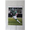 Image 4 : (4) Saskatchewan Roughriders Photos - 8" x 10" (NIB)