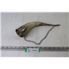 Image 1 : Vintage Drinking Horn