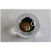 Image 2 : (2) Ocean-Themed Glass Paperweights