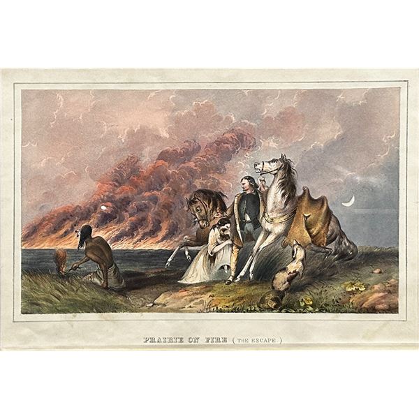 Charles Bird King, handcolored lithograph