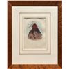 Image 2 : George Catlin, handcolored aquatint engraving