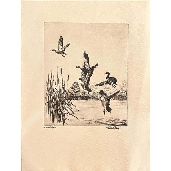 Richard E. Bishop, etching