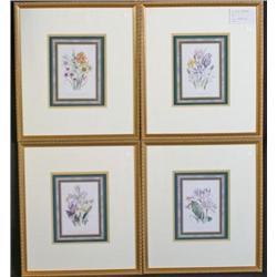 17) Bontanical Prints 16' x 18' H