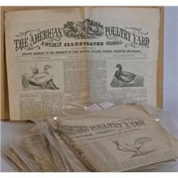 The American Poultry Yard 1889