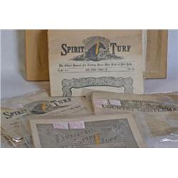 Lot Spirit Turf newspapers