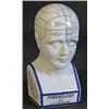 Image 2 : Phrenology Head