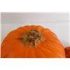 Image 2 : (2) Pumpkin Decorations - Untested