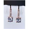 Image 1 : Set of Rose Ladies 1.0 Carat Brilliant Cut Earrings
