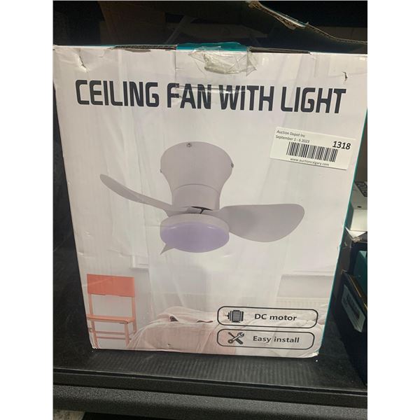 Ceiling Fan with light