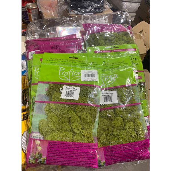 Proflora Reindeer Moss 12 packs
