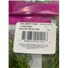 Image 2 : Proflora Spanish Moss 12 packs