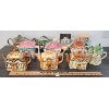 Image 1 : LOT OF 11 - VILLAGE THEMED TEA POTS - INCL PRICE KENSINGTON & LEONARDO 