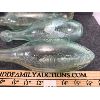 Image 2 : LOT OF 6 - EMBOSSED BOTTLES - INCL NEW YORK & LONDON TORPEDO BOTTLES