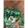 Image 2 : Lighted Brass Hanging plant holder with silk Plant