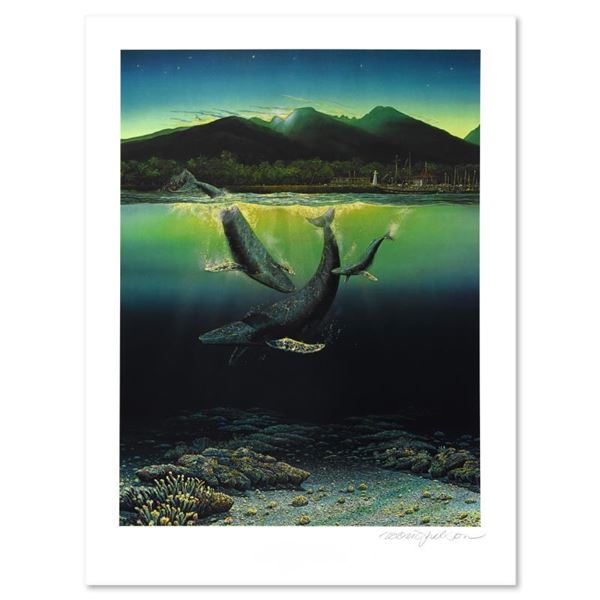 Two Worlds Today by Nelson, Robert Lyn