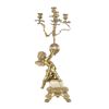 Image 1 : Louis XVI Style Gilt & Patinated Bronze Candelabra