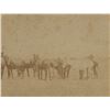 Image 7 : C. 1890 Wounded Knee 7th Cavalry Army Mule Photo