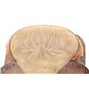 Image 16 : Buffalo Western Tooled Cheyenne Roll Saddle